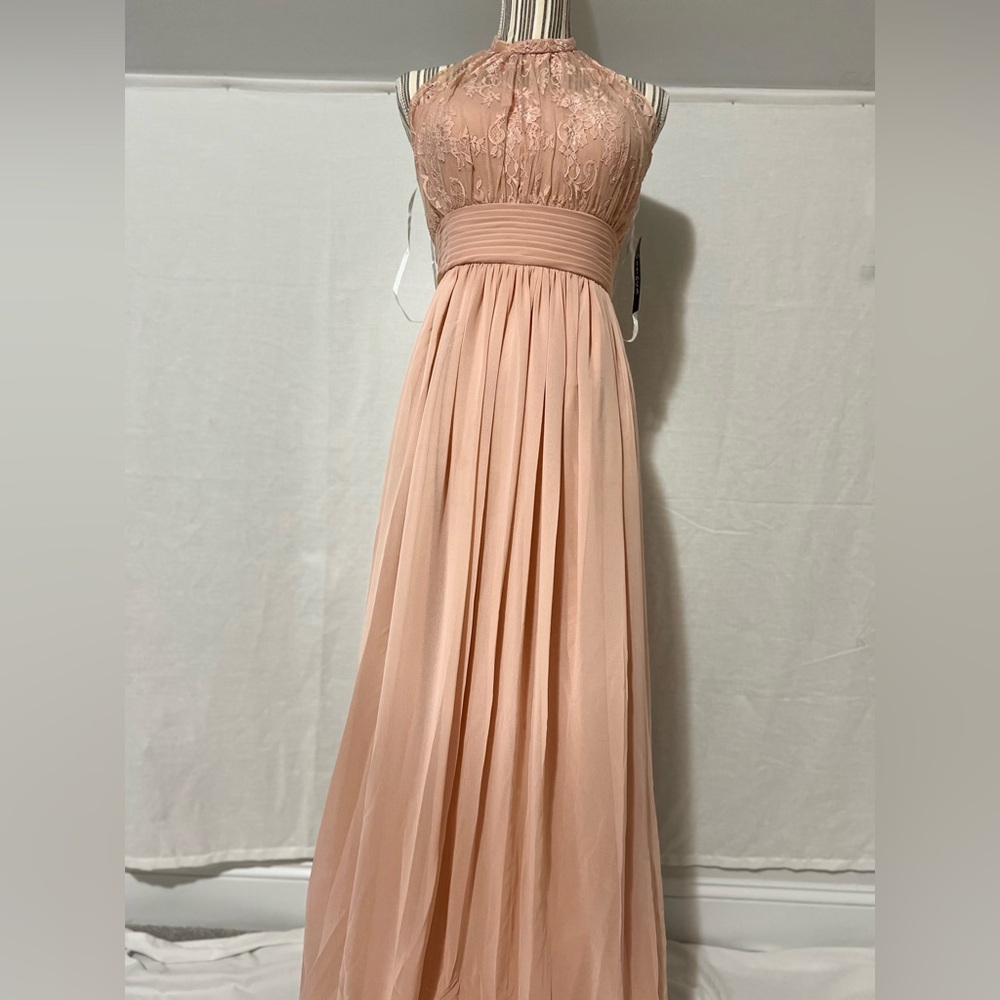 Sonsiya Blush Pink Lace Chiffon Maxi Dress Size 12 Formal Gown NWT - Picture 3 of 12